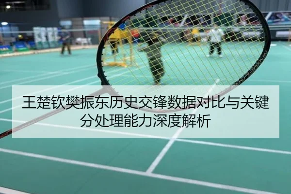王楚钦樊振东历史交锋数据对比与关键分处理能力深度解析