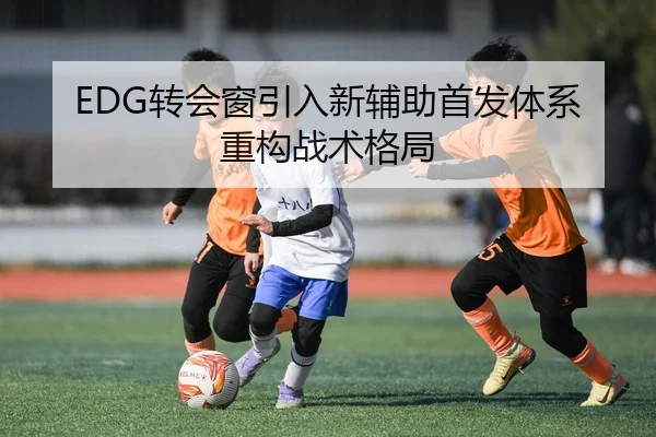 EDG转会窗引入新辅助首发体系重构战术格局